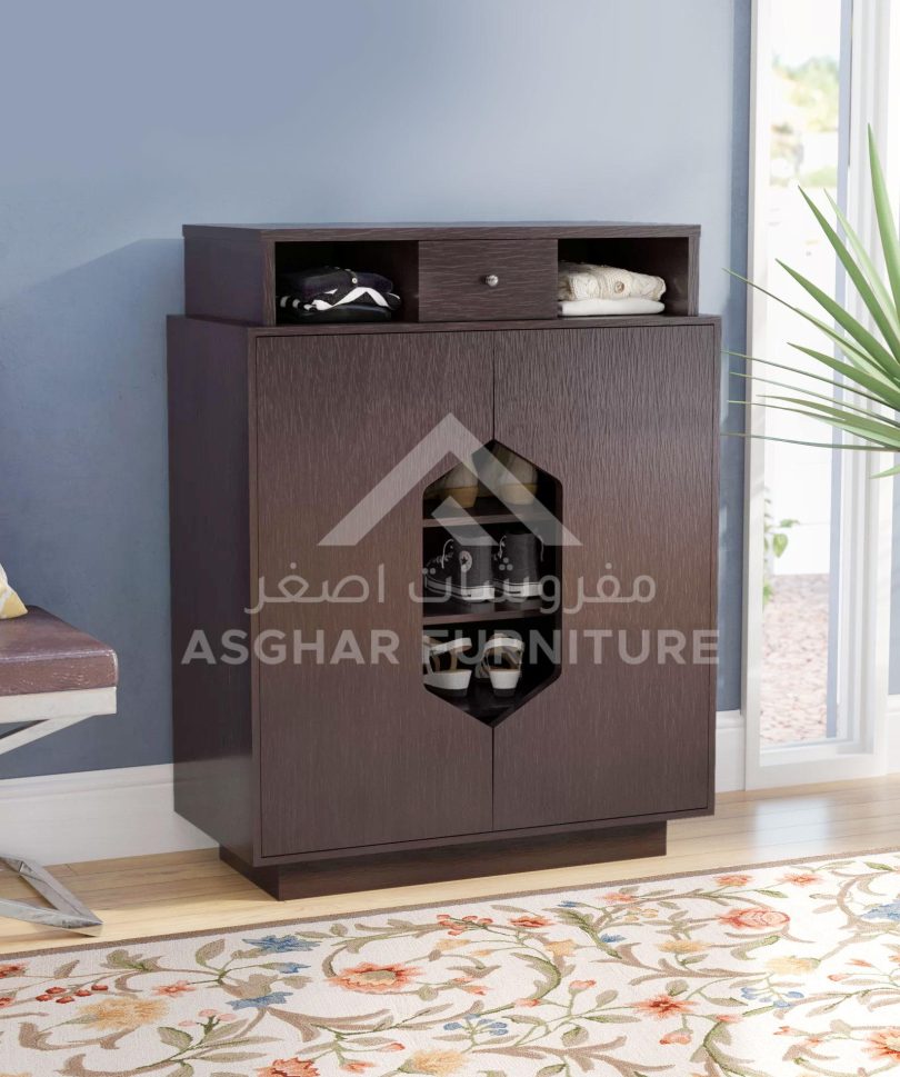 Modern Shoe Storage Cabinet