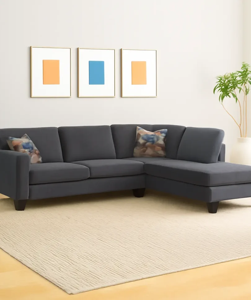 Cozy Sectional Sofa