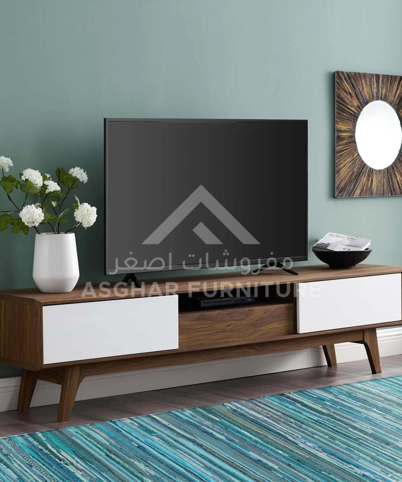 Modern Contemporary TV Stand