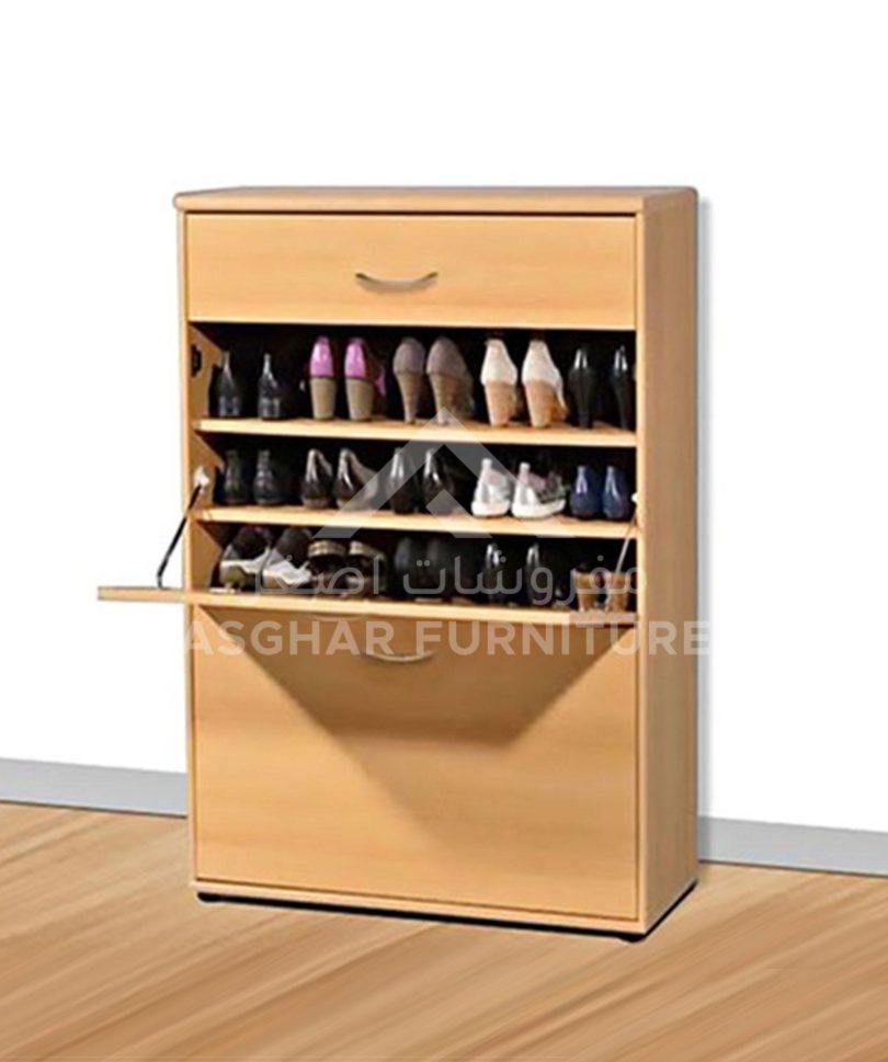 Two-Door Shoe Cabinet